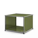 Table d'appoint avec panneaux latéraux USM Haller, 50 cm, Sans tablette intérieure en verre, Vert olive RAL 6003