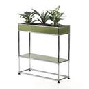 Table d'appoint USM Haller pour plantes Type 1, Vert olive RAL 6003